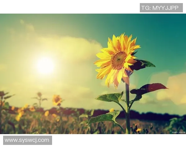 付豪的奋斗故事:从平凡到卓越的成长之路与人生启示 付豪的奋斗故事:从平凡到卓越的成长之路与人生启示