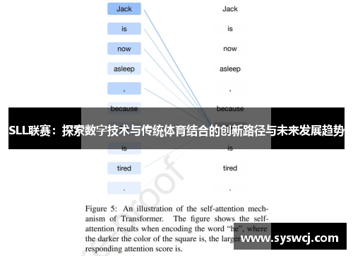 SLL联赛：探索数字技术与传统体育结合的创新路径与未来发展趋势