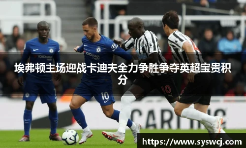 埃弗顿主场迎战卡迪夫全力争胜争夺英超宝贵积分